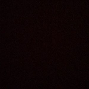 Meet your Posher, Giselle